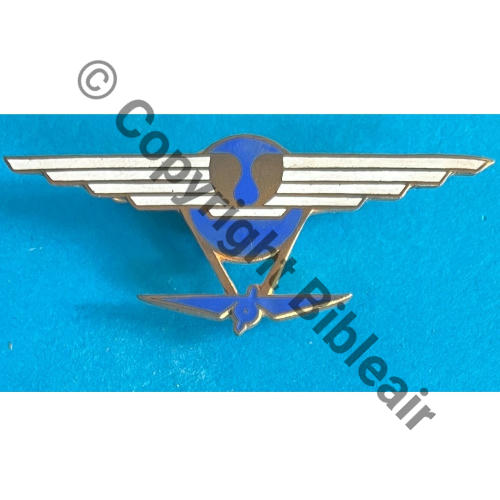 288eCIE AEROSTIERS OBS (motoballon)  SM Bol fenetre Dos lisse irreg Src.mesnil01 351Eur05.25 